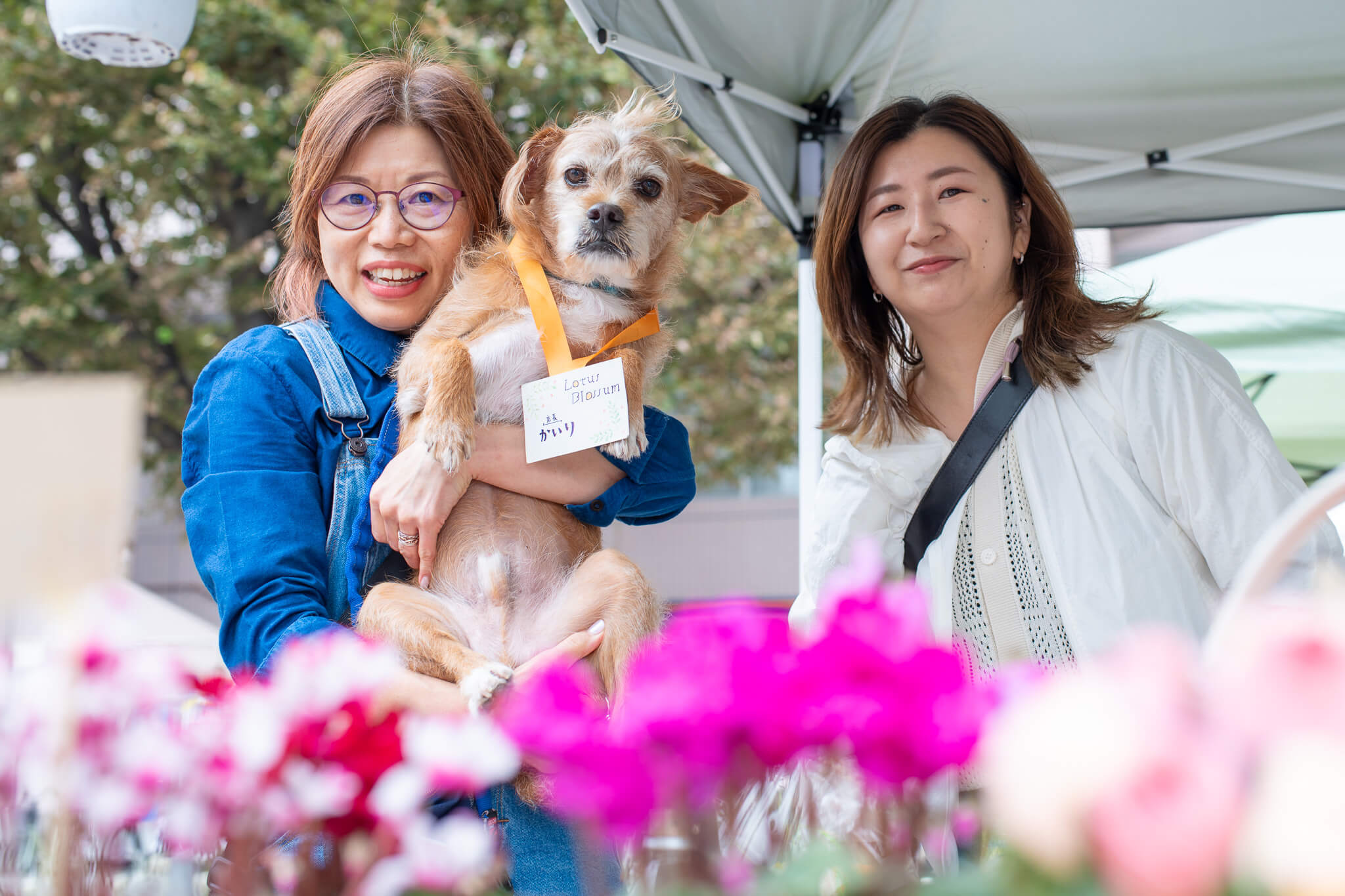 花と犬と女性